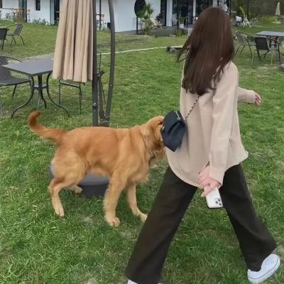 爱在舞动